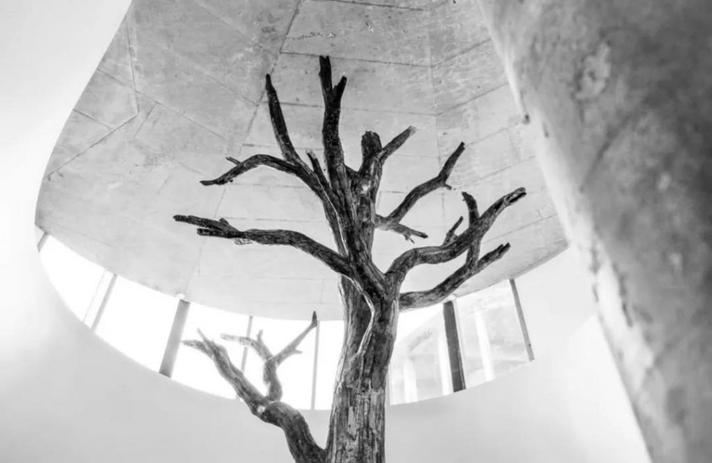 隈研吾設(shè)計安徒生博物館開幕，重新演繹丹麥童話插圖(30)