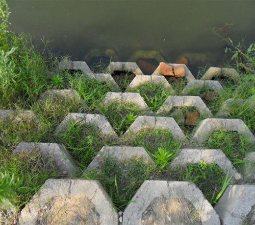 巖星特刊 | “疫苗博物館”，透過歷史切片見證偉大事業插圖