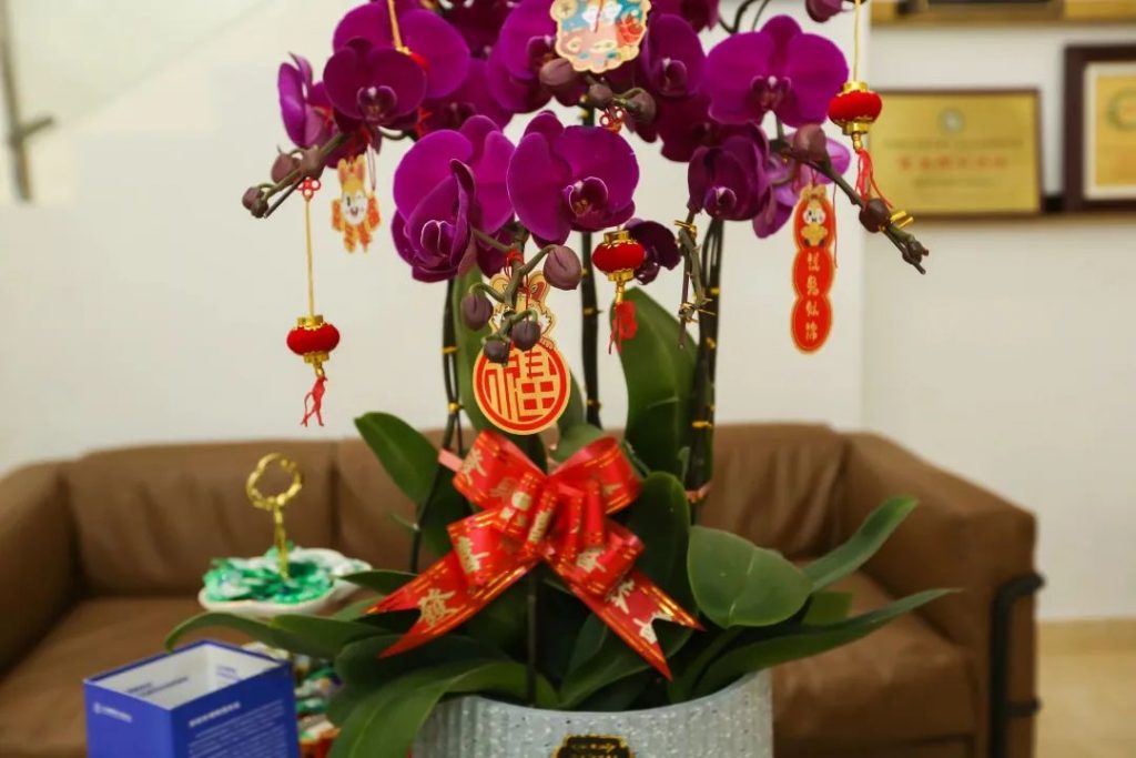 星之聲 | 新開(kāi)序章，揚(yáng)帆起航！插圖(2)